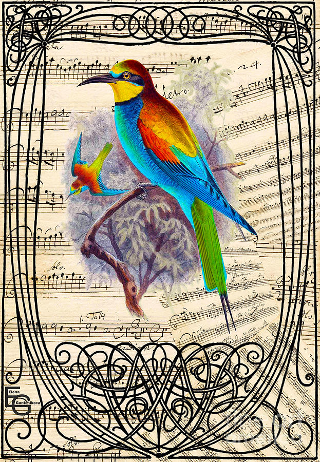 A bird of paradise on a musical score framed by an art nouveau pattern, belle epoque, modern style. Mixed Media by Elena Gantchikova