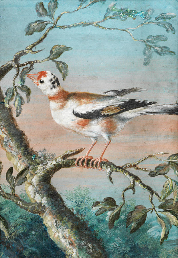A bird seated on a branch Drawing by Christoph Ludwig Agricola