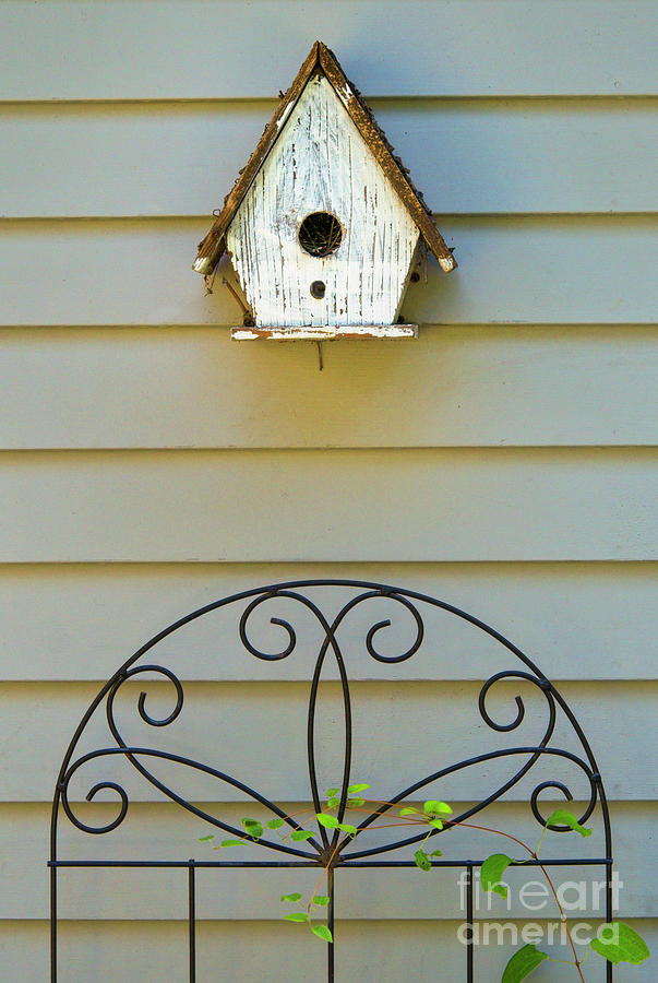 A Birdhouse On The Wall 001 Photograph