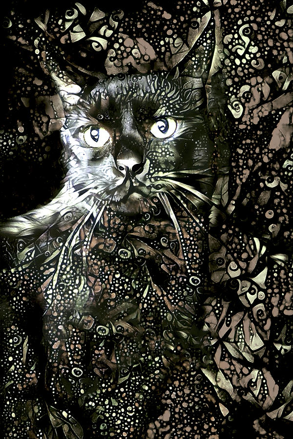 A Black Cat Named Stripes Digital Art by Peggy Collins