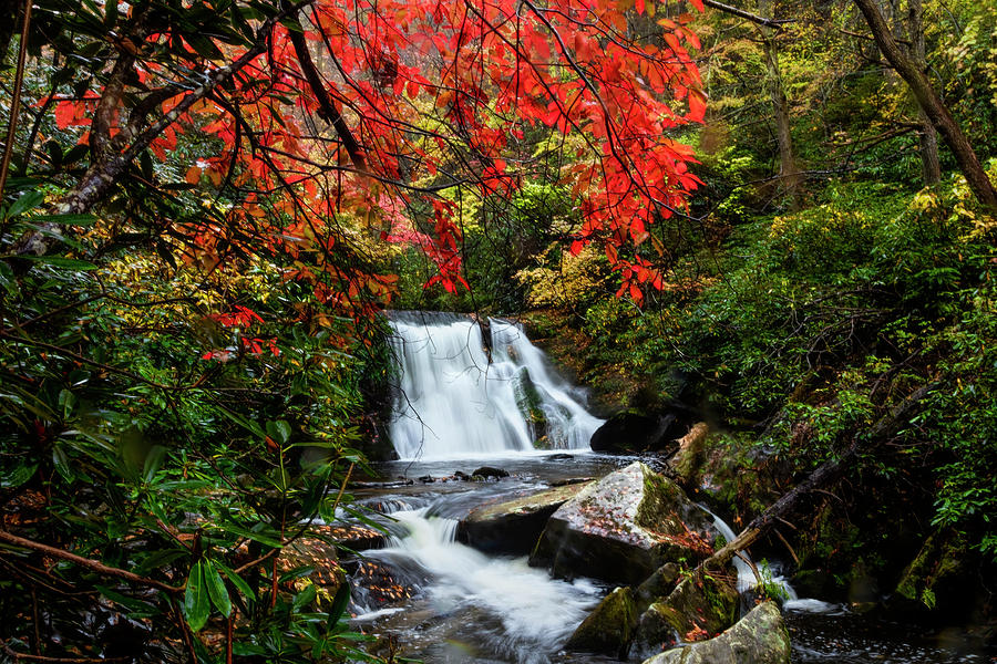 Fall Photograph - A Blaze of Red over the Falls by Debra and Dave Vanderlaan