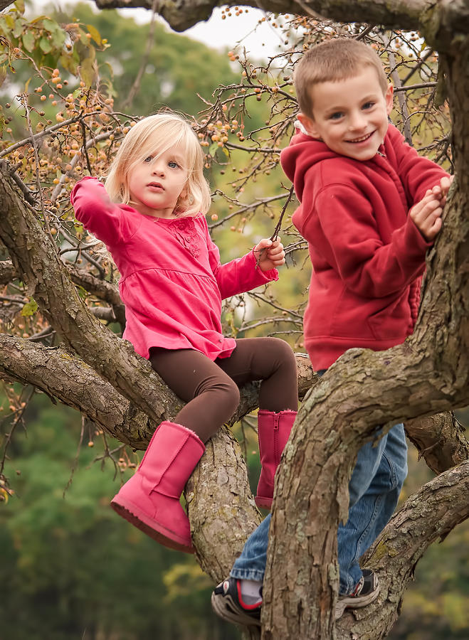A Blond Boy & Girl Play in an Autumn Tree Photograph by Dana Coltrinari Burke