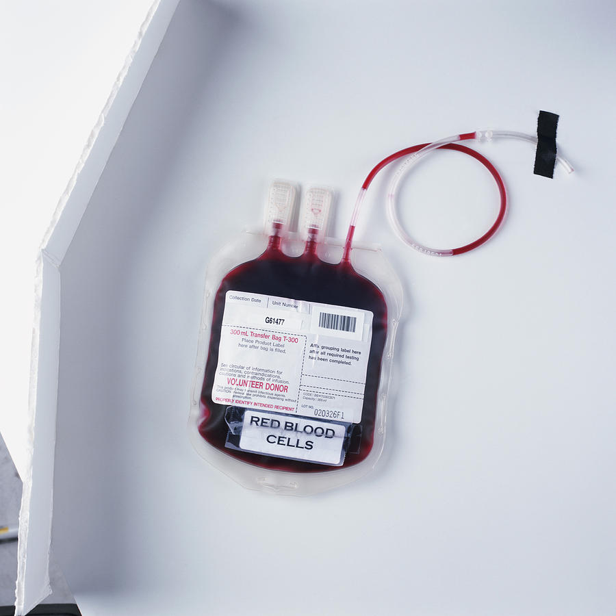 A blood transfusion bag Photograph by Liquidlibrary