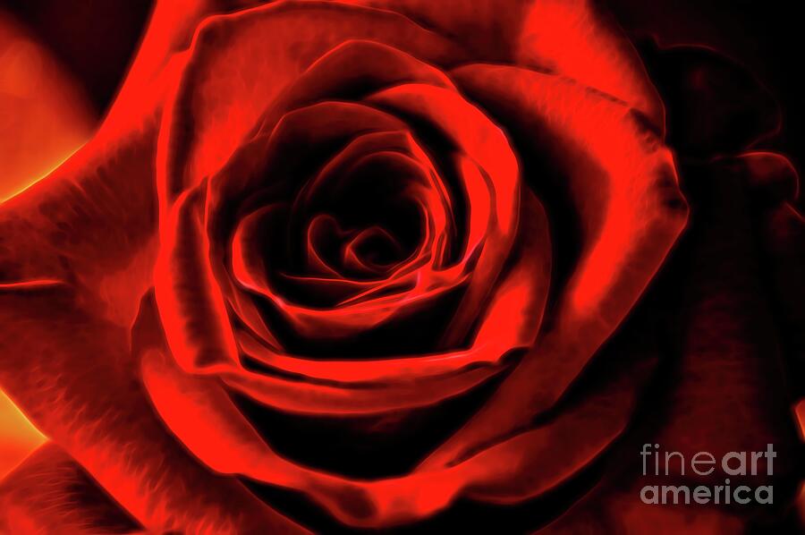  A Bloom in Red Photograph by Diana Mary Sharpton