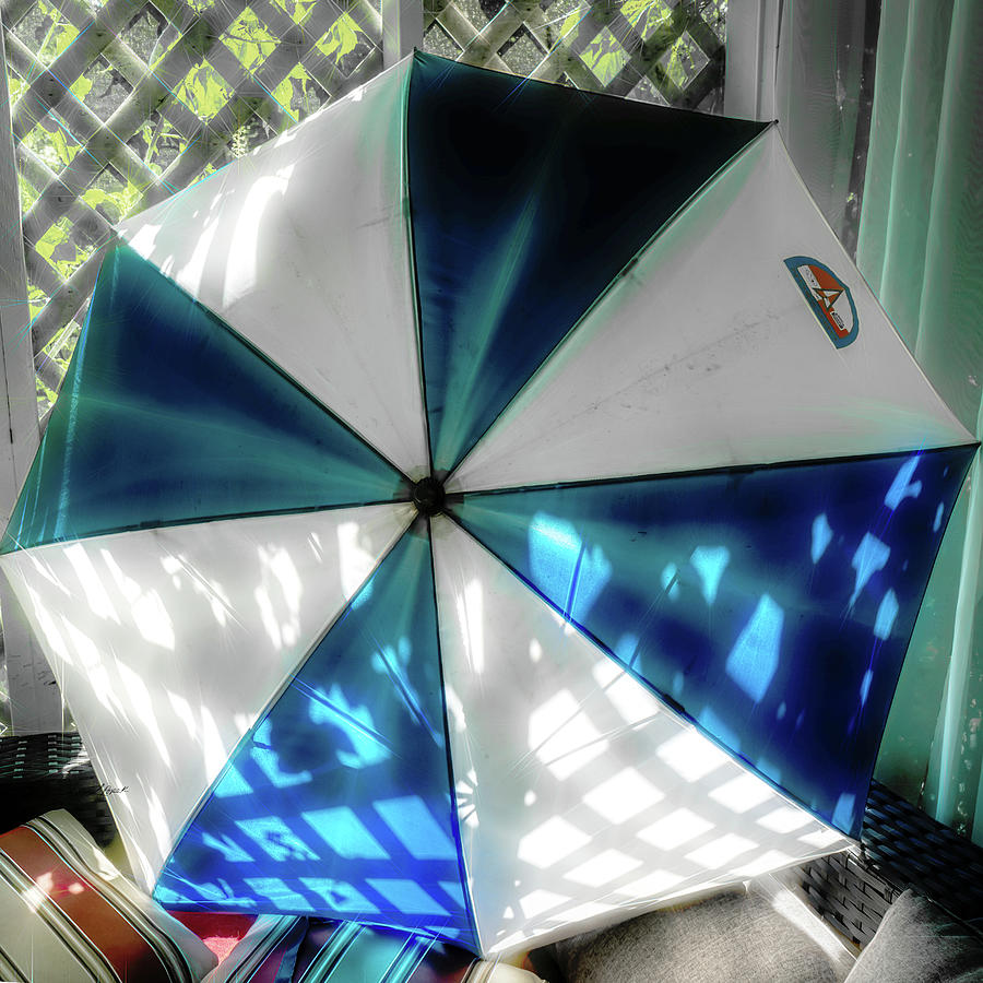 A blue and white umbrella Photograph by Sharon Popek