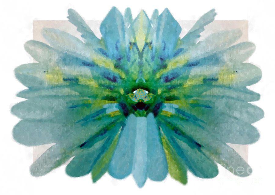 A Blue Aster Flower Abstract Watercolor Mixed Media by Sandi OReilly