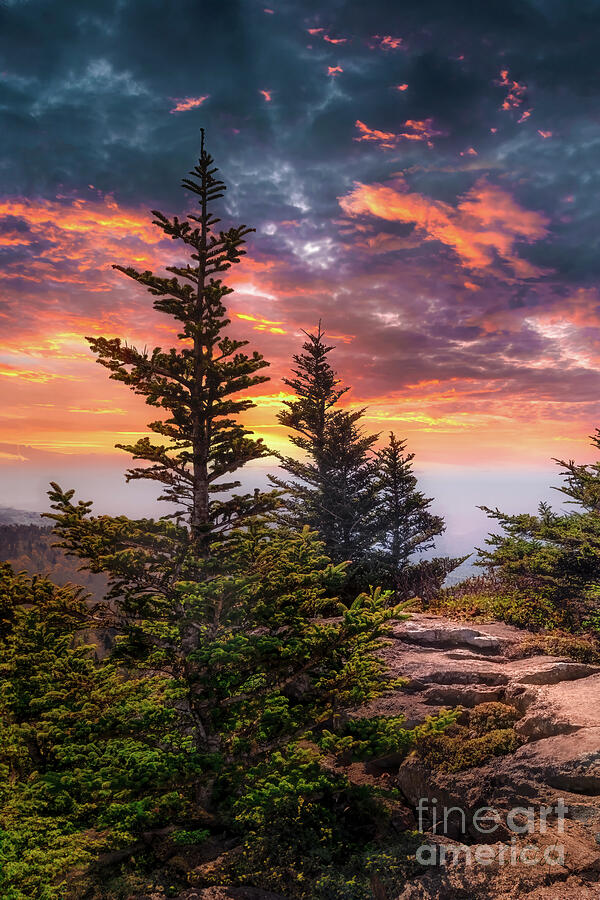 A Blue Ridge Mountains Sunrise II Photograph by Shelia Hunt