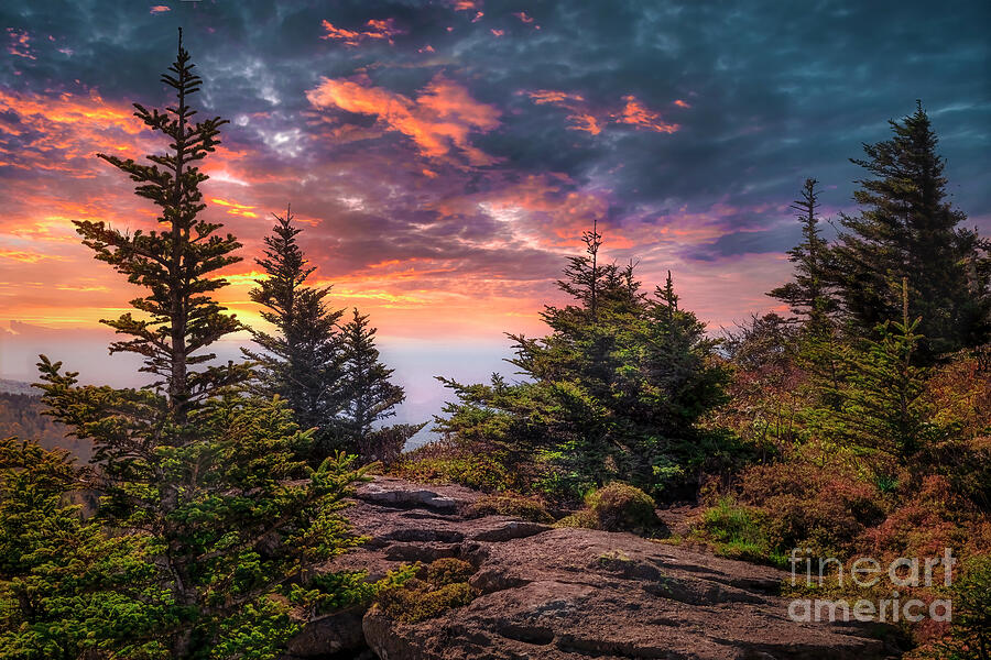 A Blue Ridge Mountains Sunrise Photograph by Shelia Hunt