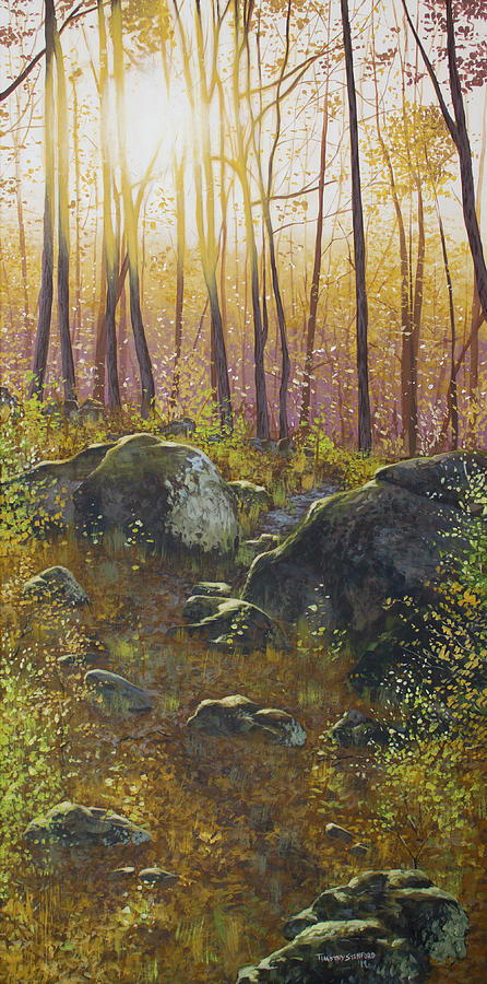 A Boulder Way Painting by Timothy Stanford