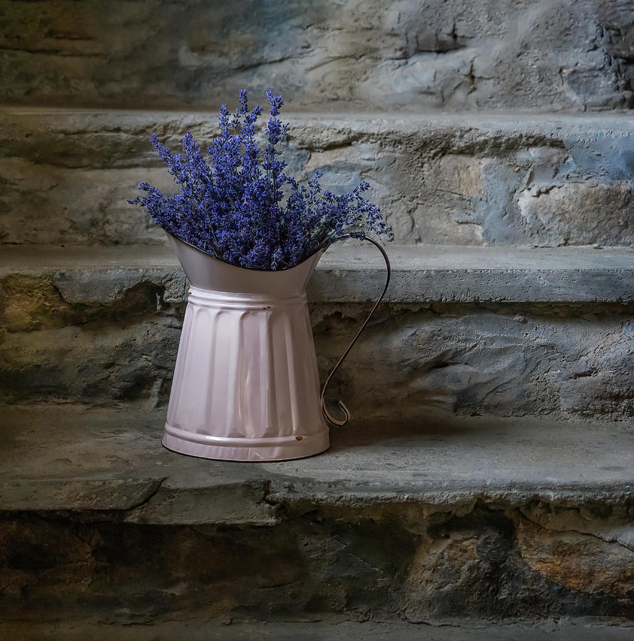 A bouquet of Lavender Photograph by Sylvia Goldkranz