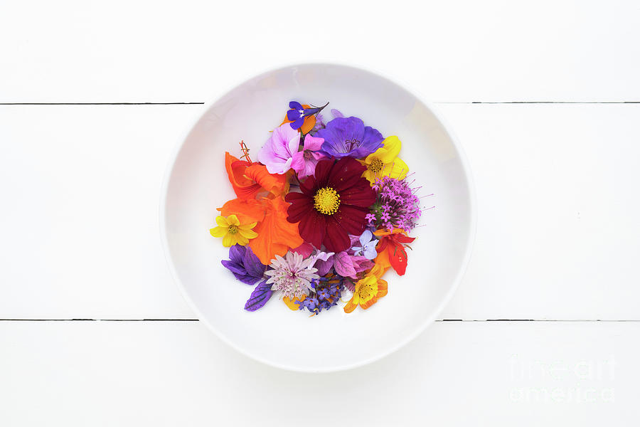 A Bowl of Colour Photograph by Tim Gainey