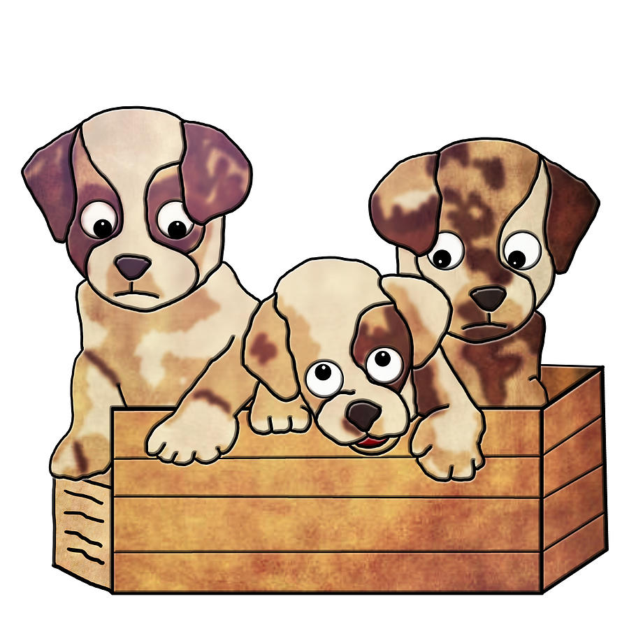 Dog Digital Art - A Box Full of Puppies by John Haldane