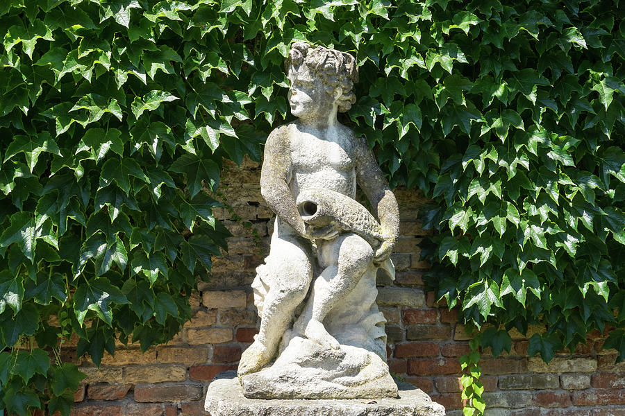 A Boy with a Fish - Antique Statue Hugged by Glossy Ivy Leaves Photograph by Georgia Mizuleva