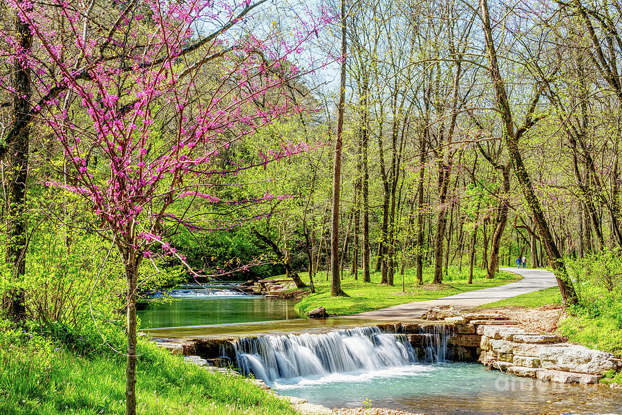 Waterfall Photograph - A Breath Of Fresh Spring Air by Jennifer White