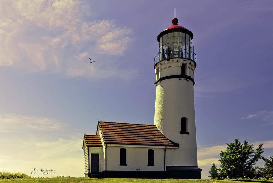 Tree Photograph - A Breezy Morning At Cape Blanco Lighthouse by Diane Schuster