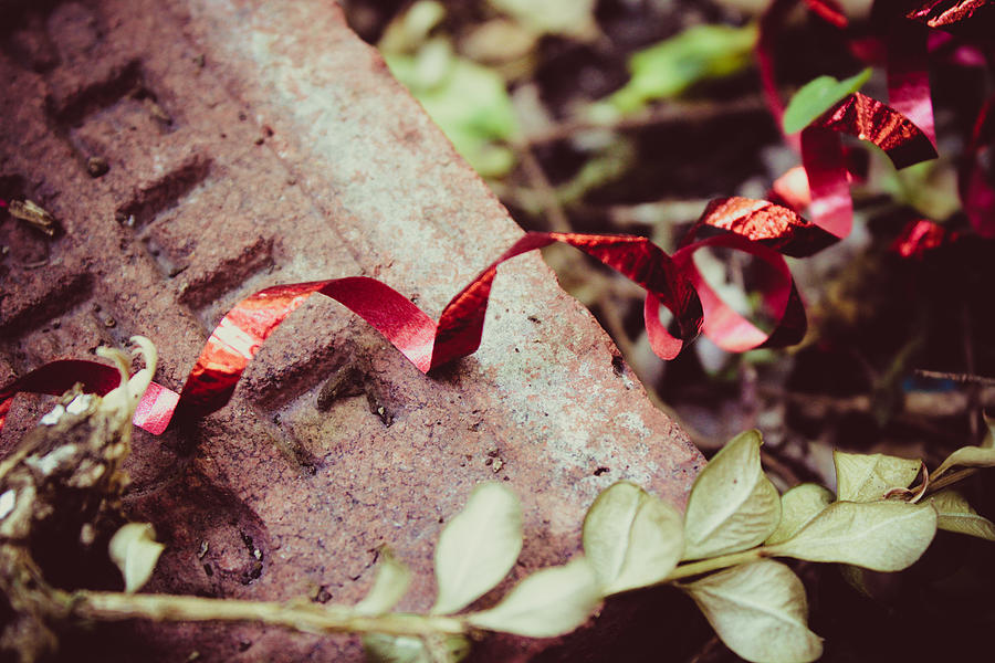 A Brick, A Red Ribbon, and Some Leaves Photograph by W Craig Photography