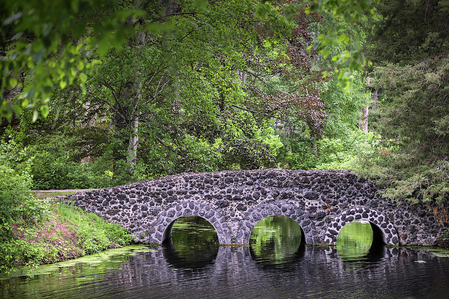 A Bridge in Sherwood Forest Photograph by Robert Carter