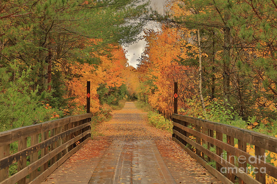 A Bridge Into Autumn Photograph by Bernard Kaiser