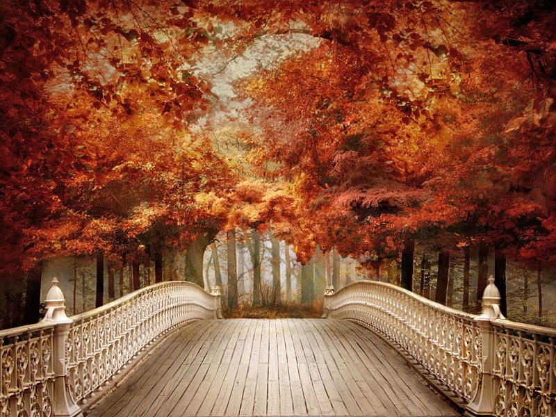 A Bridge to Autumn Photograph by Jessica Jenney