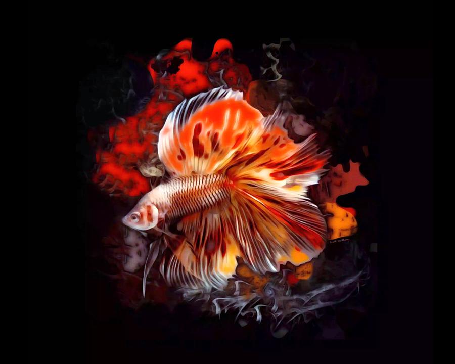 A Bright Betta Fish  Digital Art by Scott Wallace Digital Designs