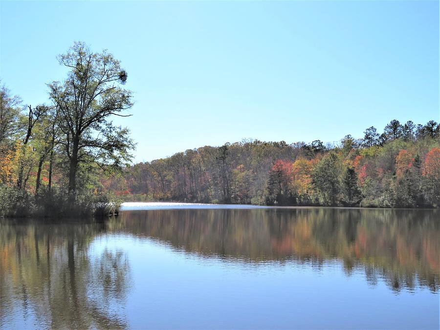 A Bright Fall Pond Photograph by Ed Williams