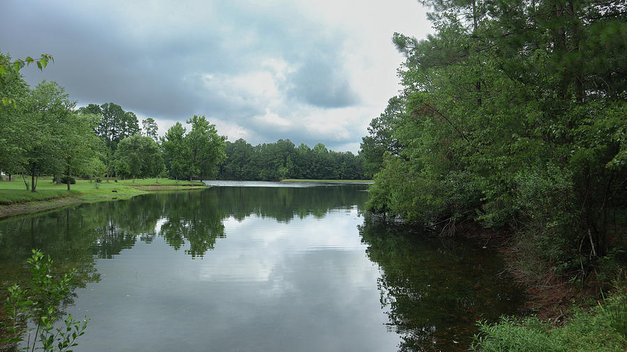 A Brooklet Georgia Pond Photograph by Ed Williams