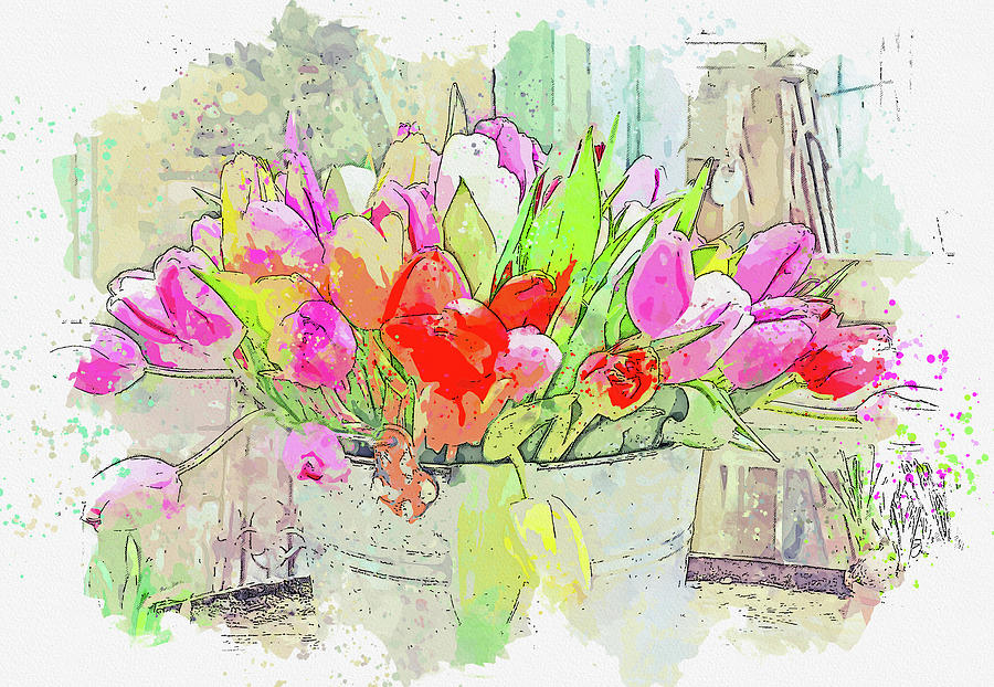 A bucket of Tulips, watercolor, ca 2020 by Ahmet Asar Digital Art by Celestial Images