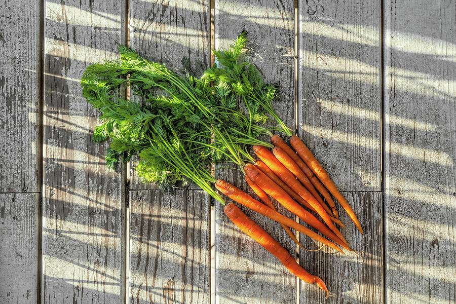 A Bunch of Carrots Photograph by Sharon Popek