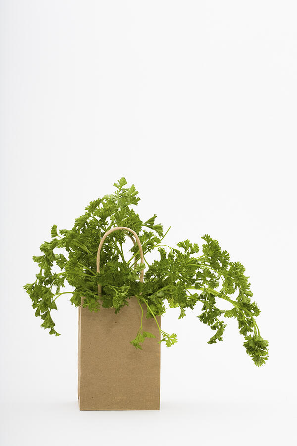 A bunch of parsley in brown paper bag Photograph by Diane Macdonald