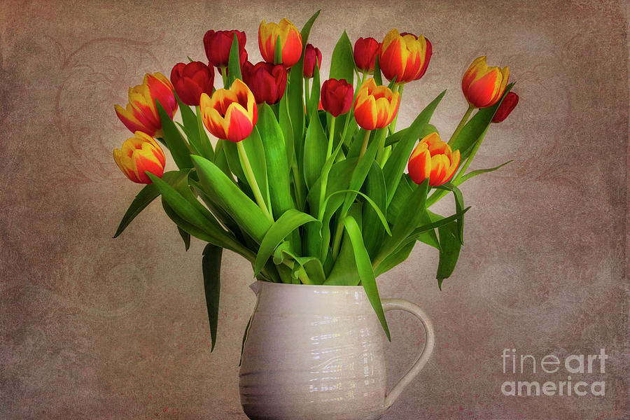 A Bunch of Tulips Photograph by Edmund Nagele FRPS