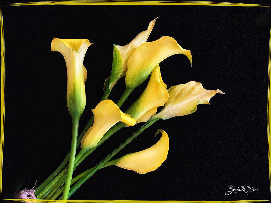 A Bunch Of Yellow Photograph by Barbara Zahno