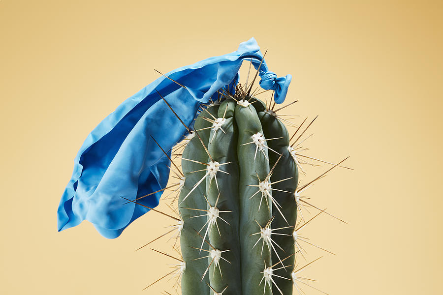 A burst balloon impaled on cactus Photograph by Richard Drury
