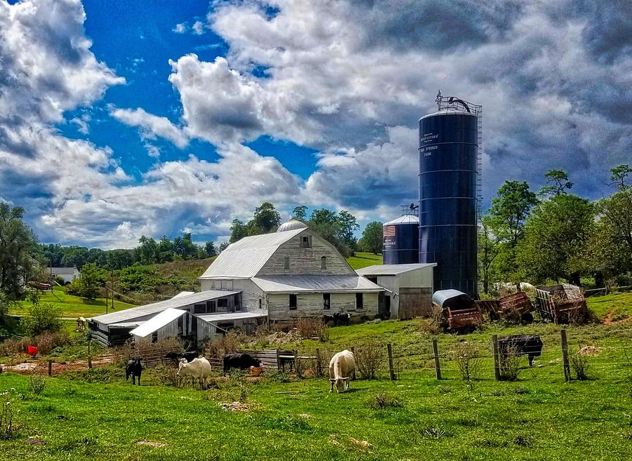 A Busy Farm Photograph by Jim Harris
