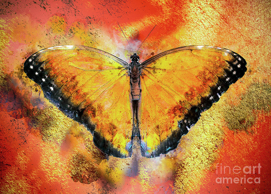 A Butterfly On Concrete Digital Art by Anthony Ellis