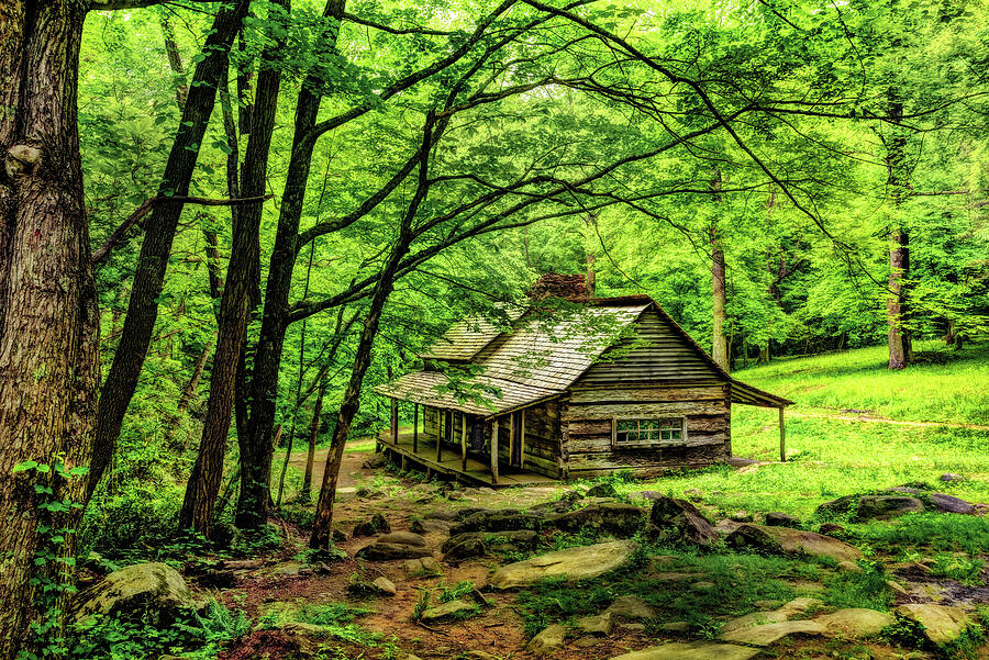 Architecture Photograph - A Cabin in the Woods by Kay Brewer