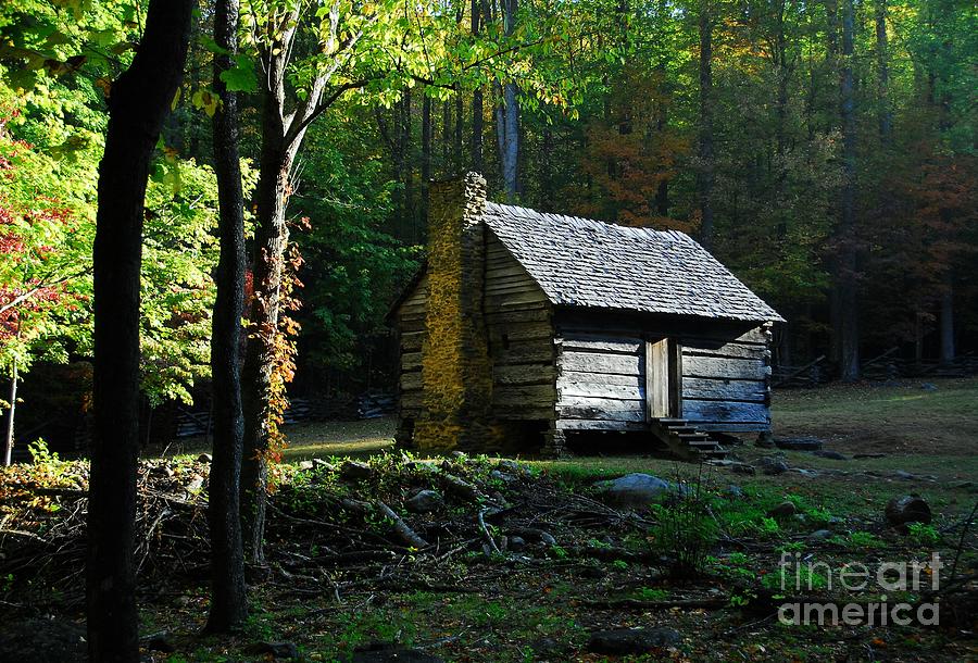 A Cabin In The Woods Photograph by Mel Steinhauer