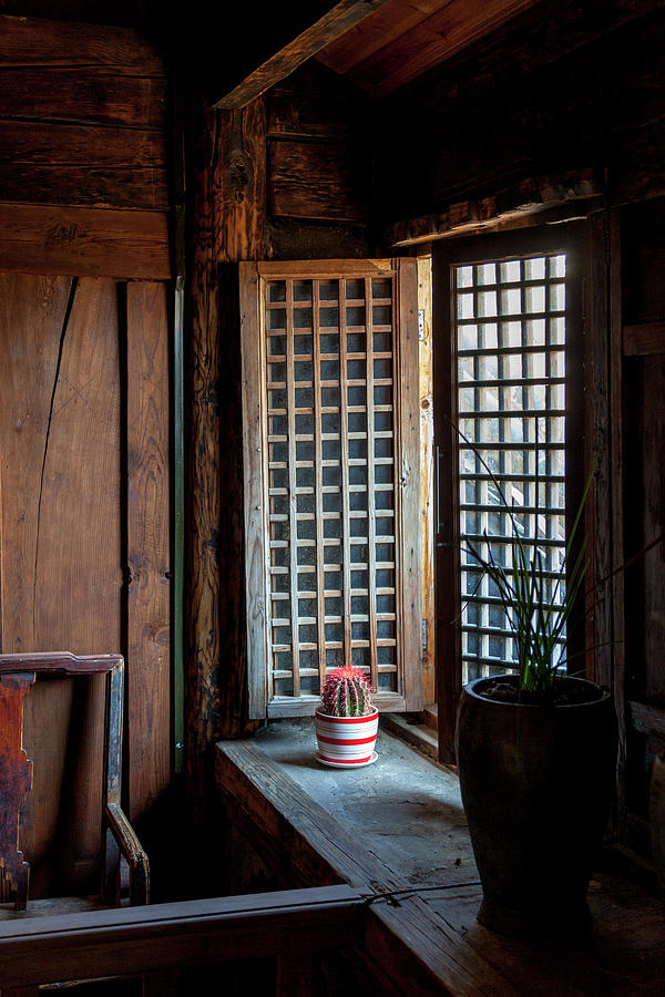 A Cactus in a Chinese Window Photograph by W Chris Fooshee