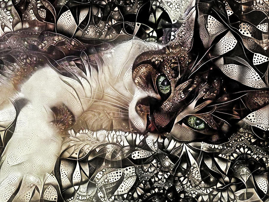 A Bicolor Cat Named Jewel Digital Art by Peggy Collins