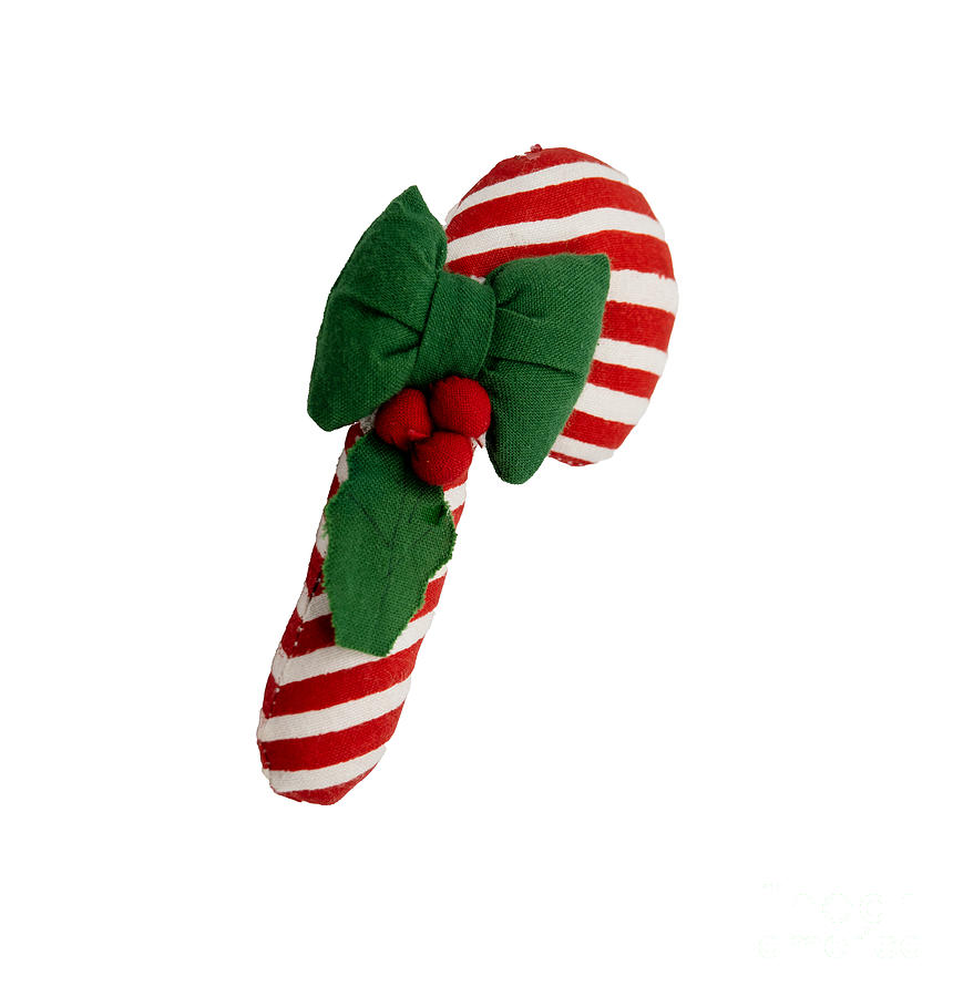 A Candy Cane on a White Background Photograph by L Bosco