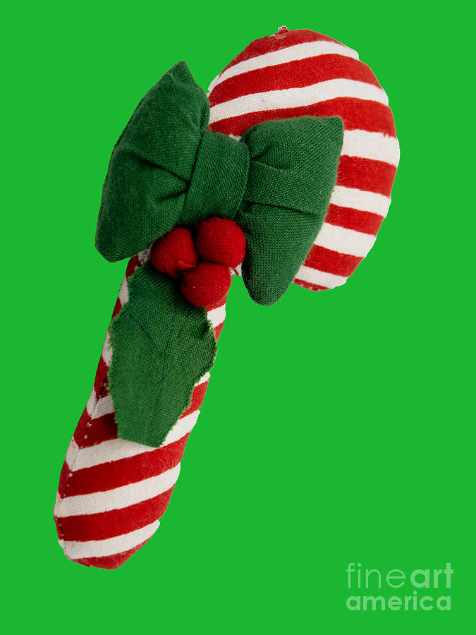 A Candy Cane Perfect for the Holiday Season Photograph by L Bosco