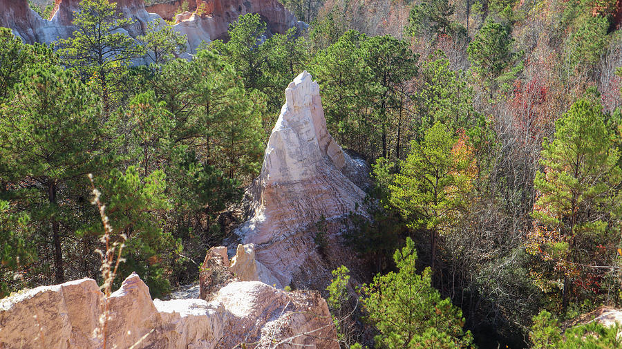 A Canyon Floor White Spike Photograph by Ed Williams
