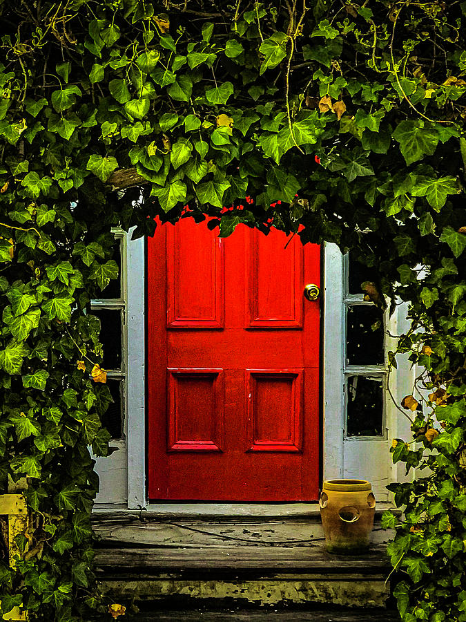 A Cape Cod Red Door Photograph by Lorri M Barry Photography - The ...