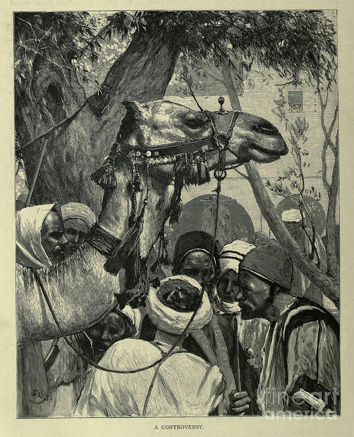 A Caravan of Camels b1 Photograph by Historic illustrations - Pixels