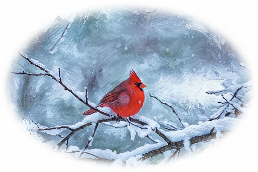 A Cardinal in December Corel Version Digital Art by Rachel Morrison