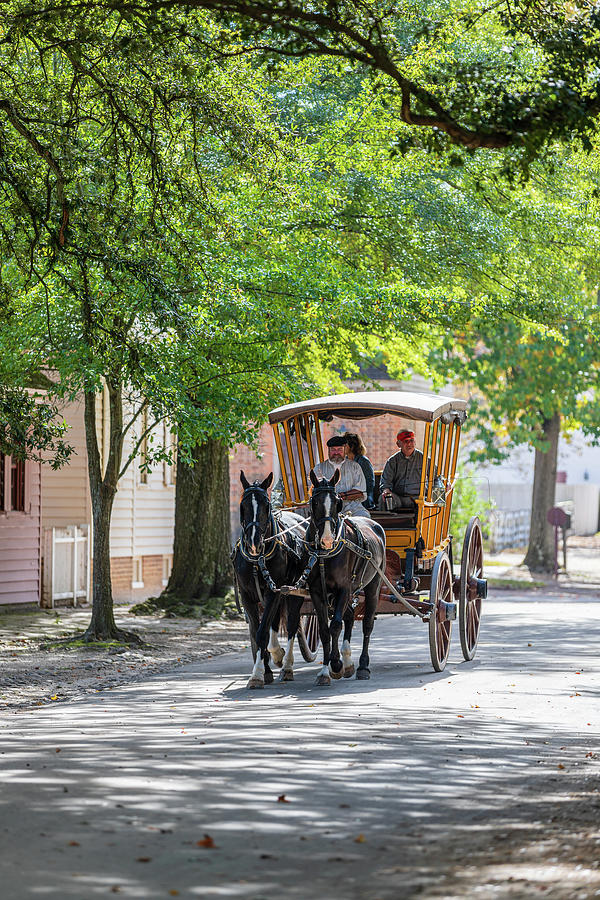 A Carriage Ride in Beautiful Williamsburg Photograph by Rachel Morrison