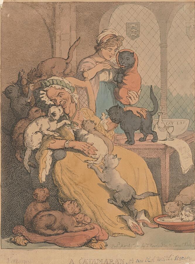 Cat Painting - A catamaran Or an old maids nursery  by Thomas Rowlandson English