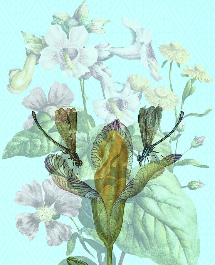 A Chance Meeting of Dragonflies Digital Art by Cathleen Klibanoff