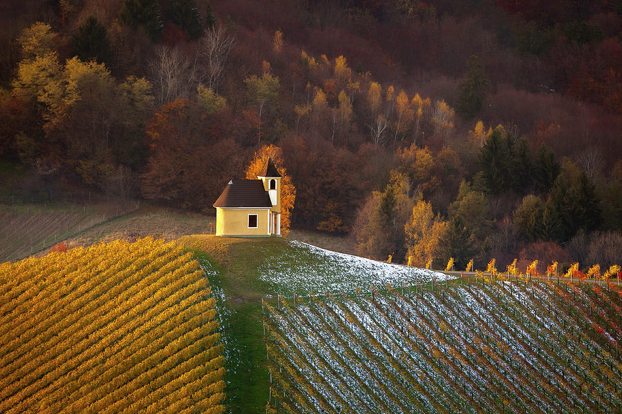 Wine Photograph - A chapel in vineyards by Piotr Skrzypiec