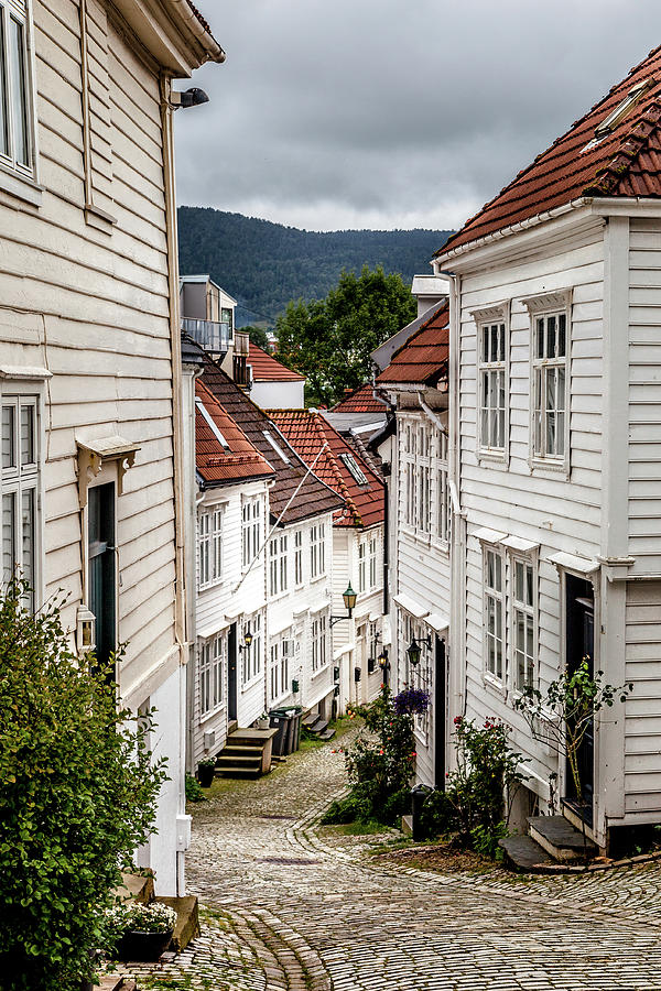 A Charming Lane in Bergen Photograph by W Chris Fooshee