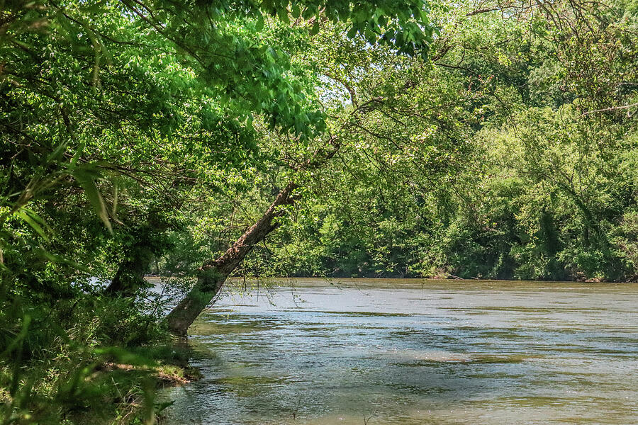 A Chattahoochee River Side Pocket Photograph by Ed Williams A Chattahoochee River Side Pocket Photograph by Ed Williams